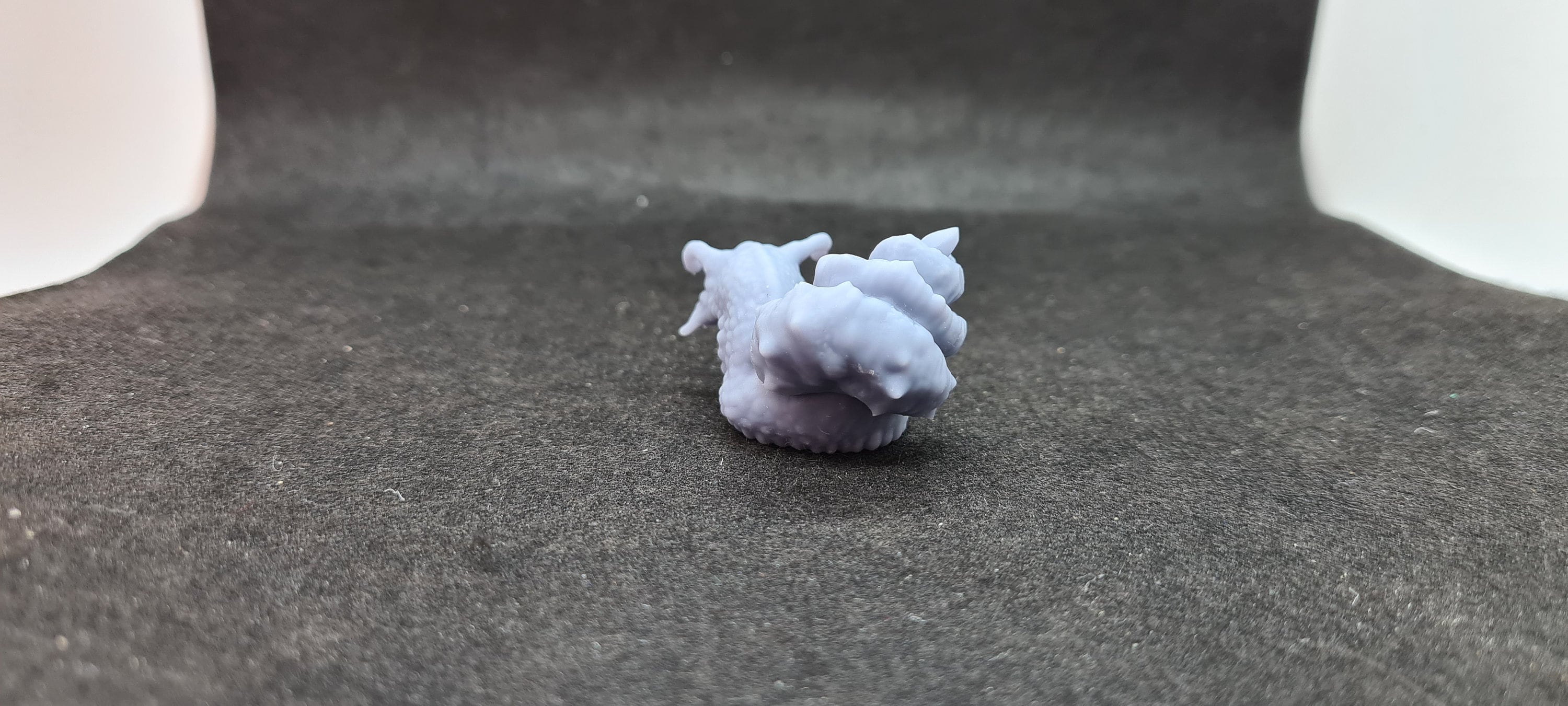 Giant Chiton: Tabletop Gaming Miniature (Resin 3D Print)