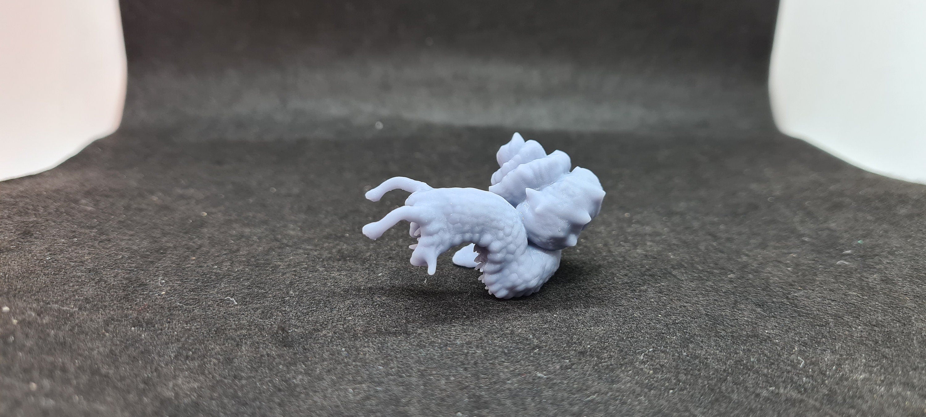 Giant Chiton: Tabletop Gaming Miniature (Resin 3D Print)