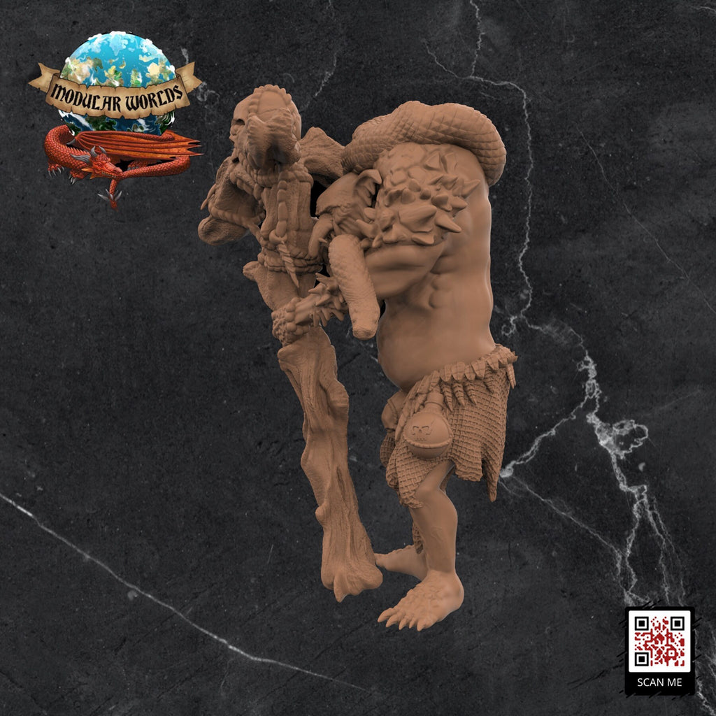 Troll Druid: Tabletop Gaming Miniature (Resin 3D Print)