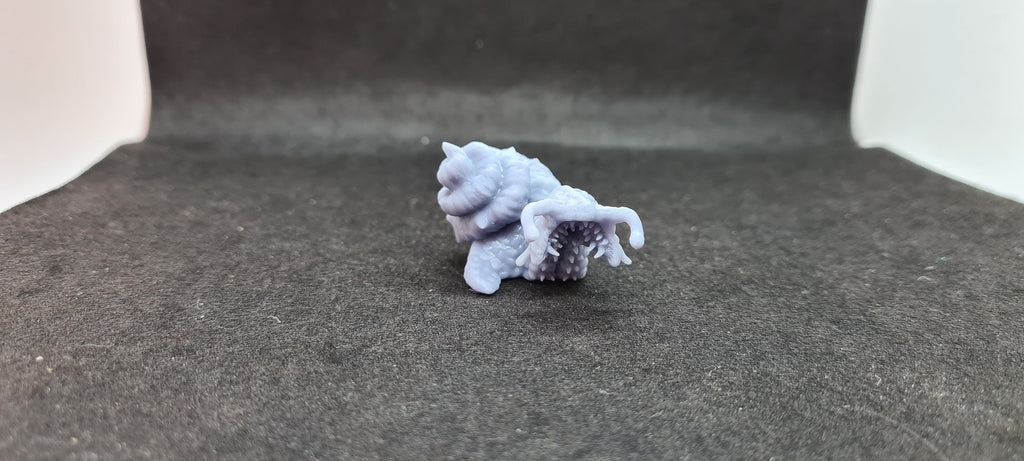 Giant Chiton: Tabletop Gaming Miniature (Resin 3D Print)