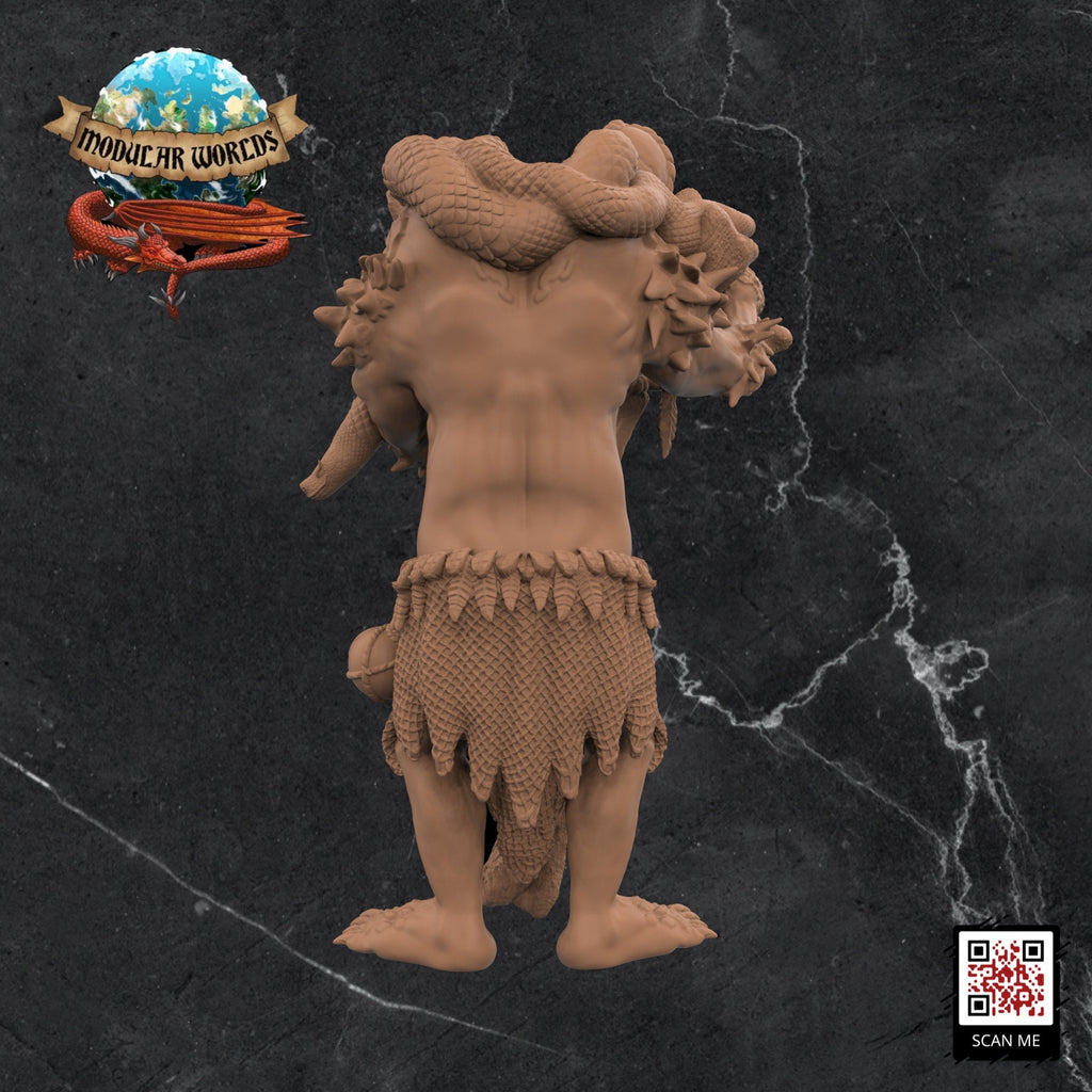 Troll Druid: Tabletop Gaming Miniature (Resin 3D Print)