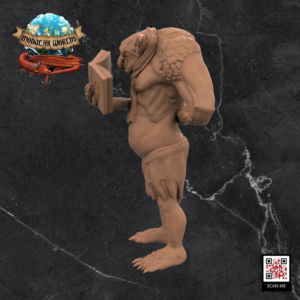 Troll Academist: Tabletop Gaming Miniature (Resin 3D Print)