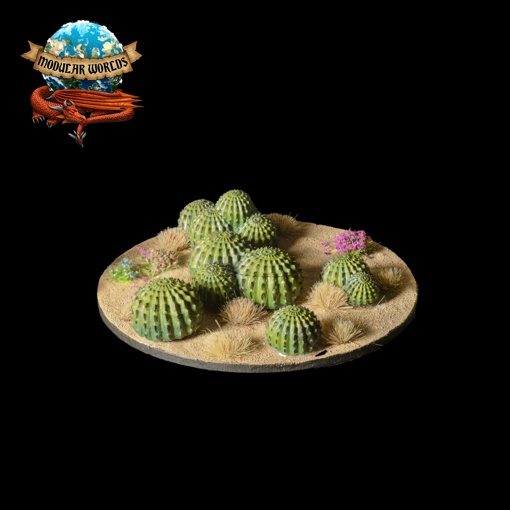 Ball Cacti Set