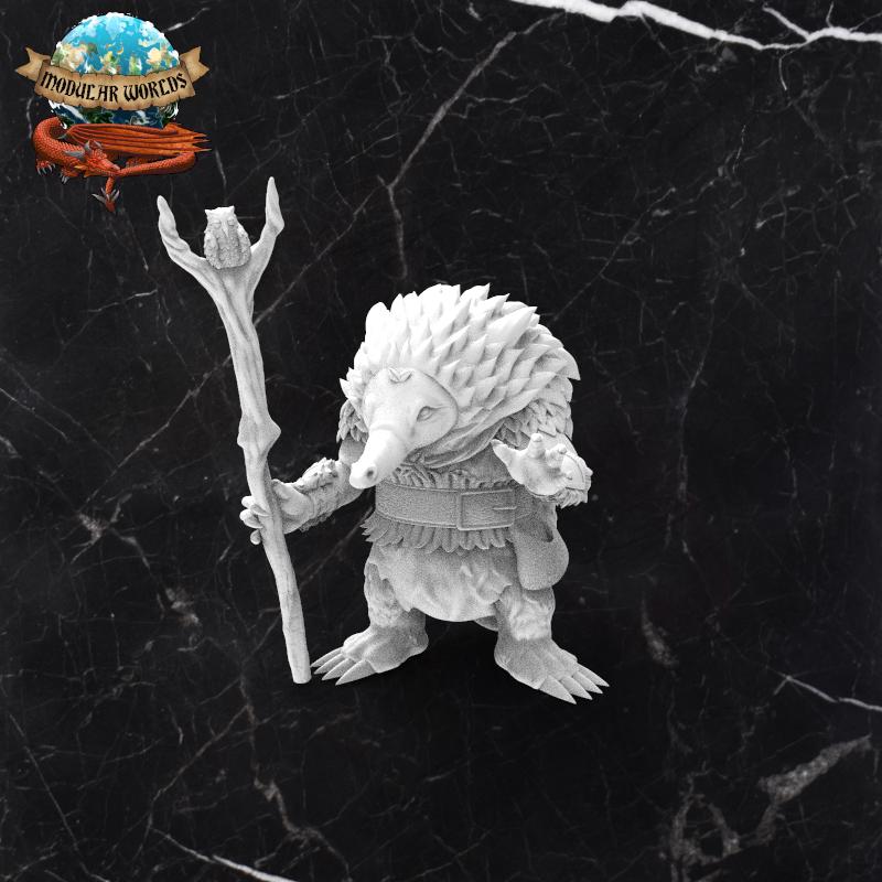 Echidna Druid: Tabletop Gaming Miniature (Resin 3D Print)