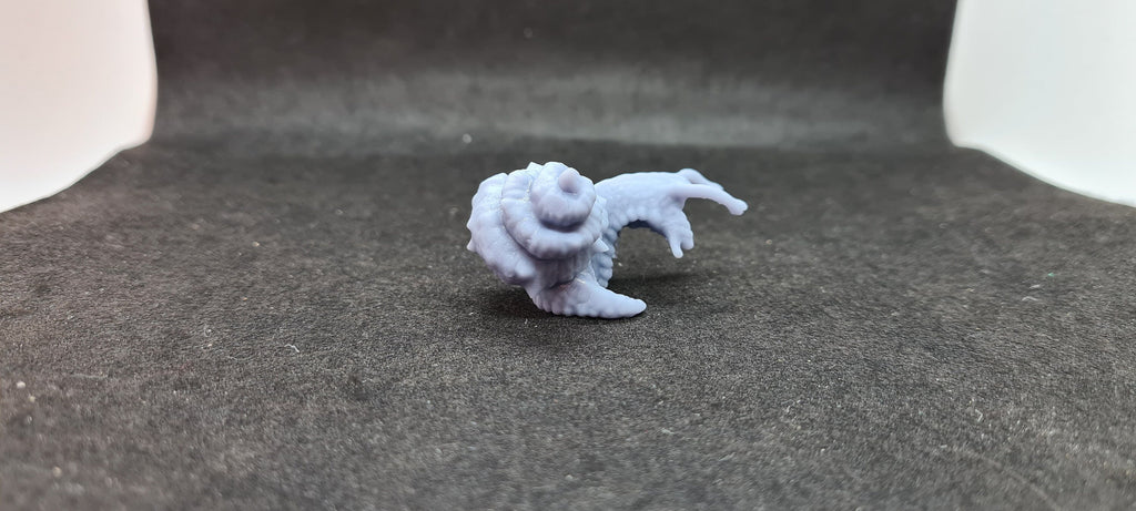 Giant Chiton: Tabletop Gaming Miniature (Resin 3D Print)