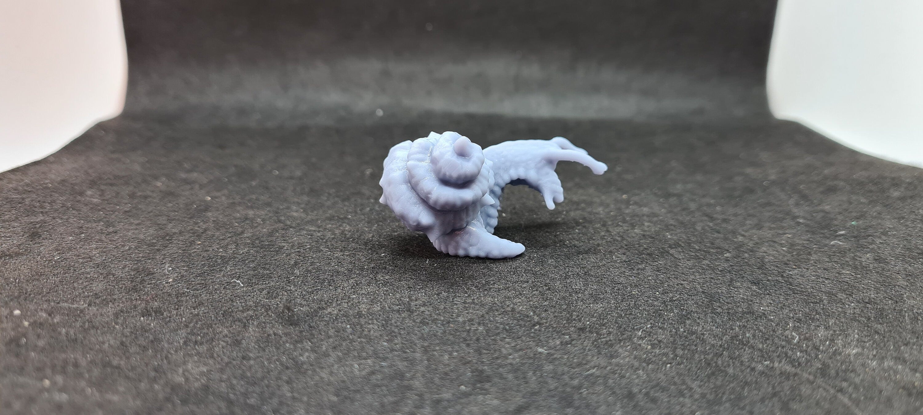 Giant Chiton: Tabletop Gaming Miniature (Resin 3D Print)